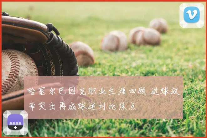哈塞尔巴因克职业生涯回顾 进球效率突出再成球迷讨论焦点