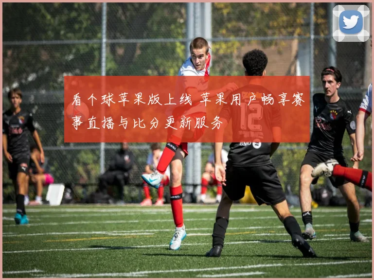 看个球苹果版上线 苹果用户畅享赛事直播与比分更新服务